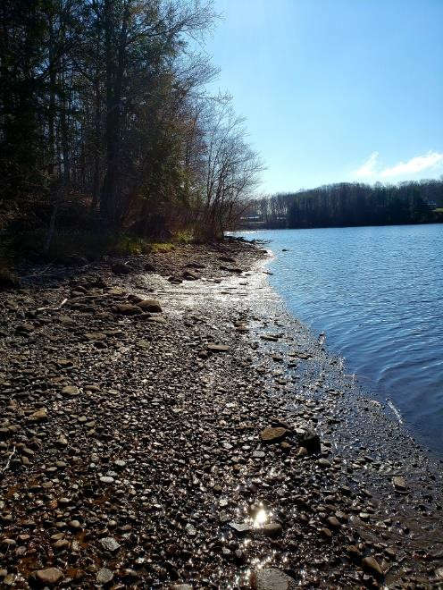 shorelin on left made up of gravel and trees,  lake water on right 