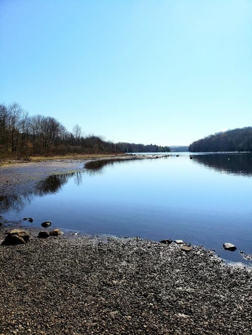 from shoreline looking out across a long river