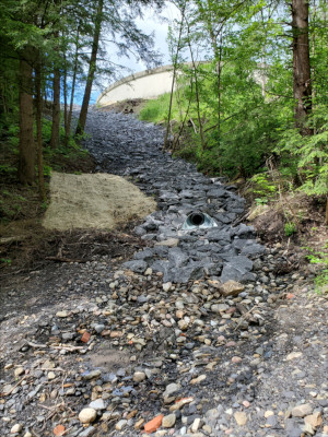 looing at drain slope path up tp tank